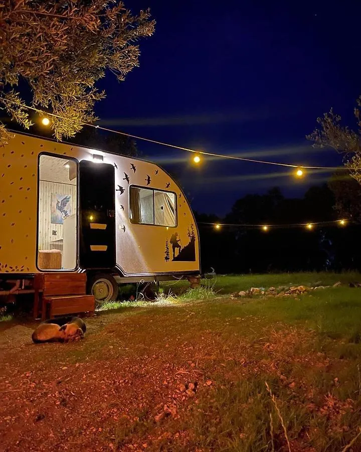 Caravan Home Dikili